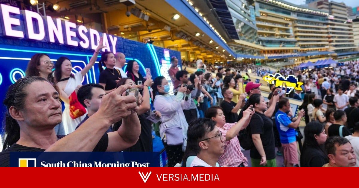 Hong Kong urged to position Greater Bay Area as equine hub, grow racing tourism