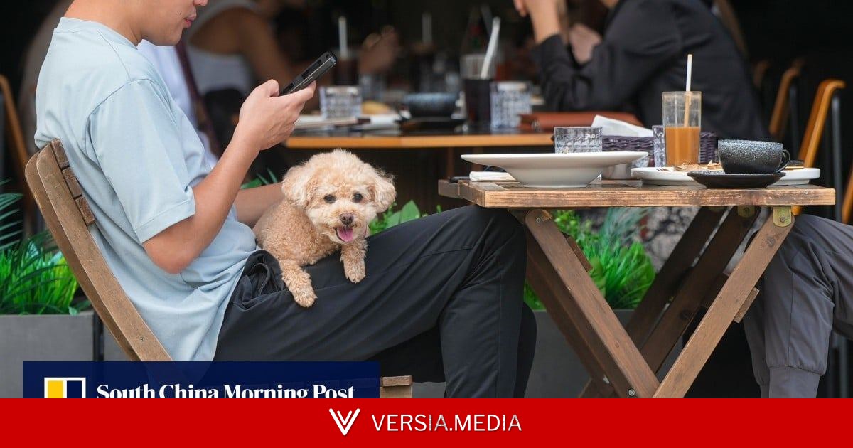 Restaurants slam dog-friendly licence policy over outdoor dining restrictions