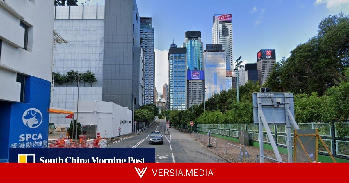 Hong Kong police arrest 15-year-old driver and his father in Wan Chai
