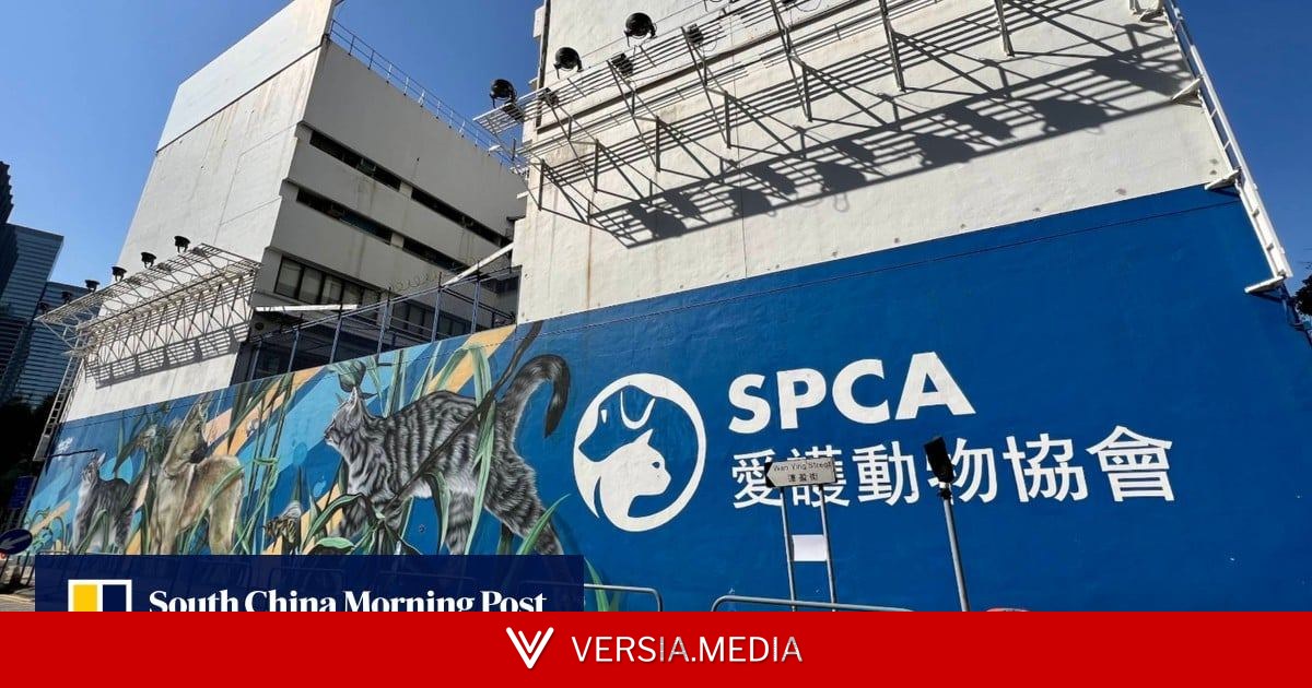 Hong Kong SPCA cancels fundraiser amid backlash over bid to remove dog-killing videos
