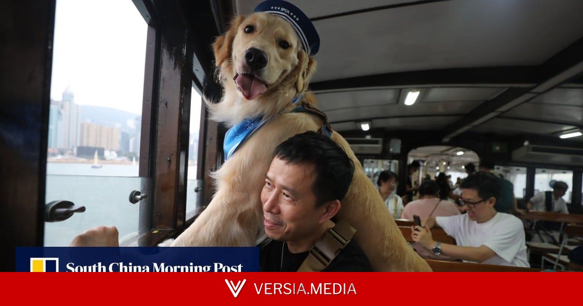 Hong Kong’s Star Ferry seeks 30% fare rise, eyes pet-friendly service