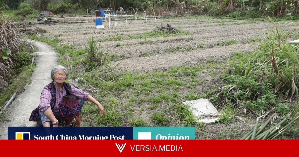 Hong Kong’s Northern Metropolis project needn’t neglect agriculture